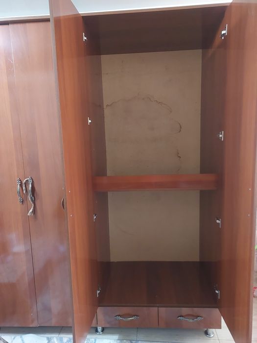 Шивонер в хорошем состоянии