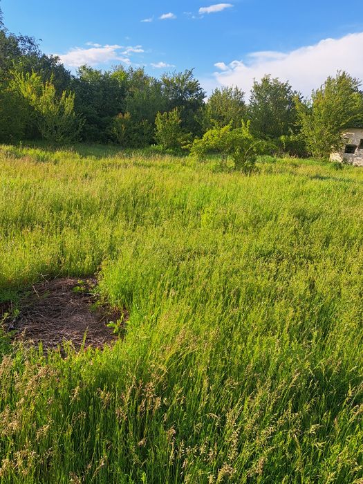 Vand teren intravilan în comuna Stalpeni, judetul Argese