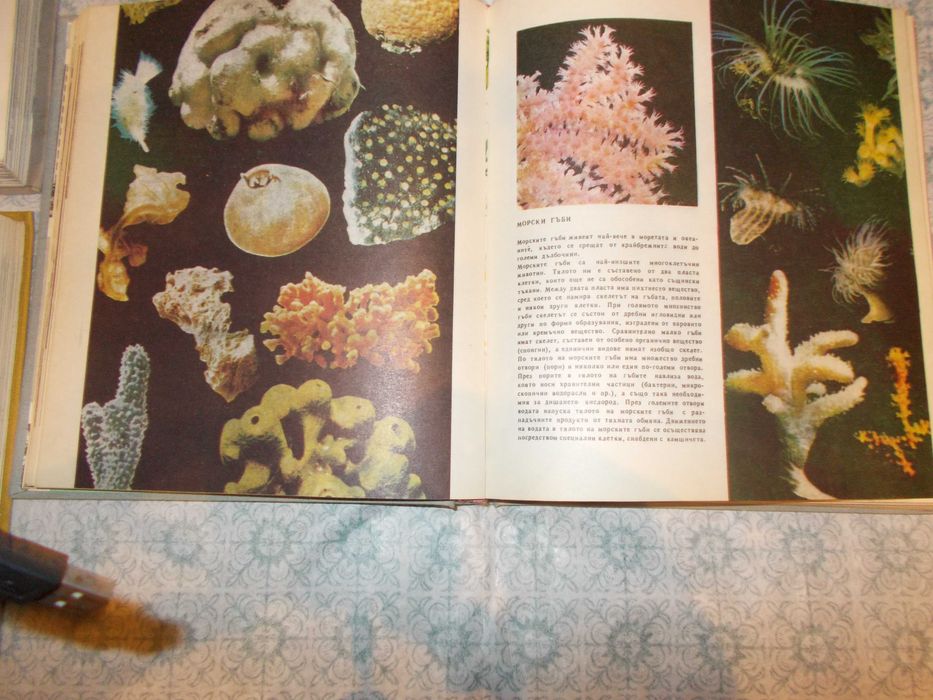 Лот книги - албуми от миналото -  Светът  ! Поредица от  три броя !