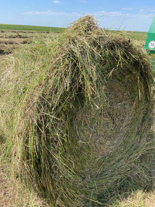 Продам сено  в тюках