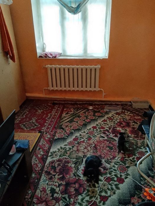 Срочно продаётся дом 2,5 сотки,Каримбек