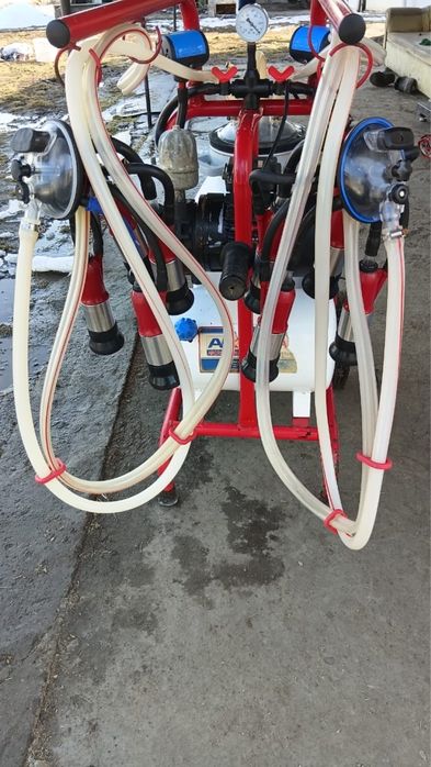 Сиыр сауу аппараты / Аппарат для дойки коров