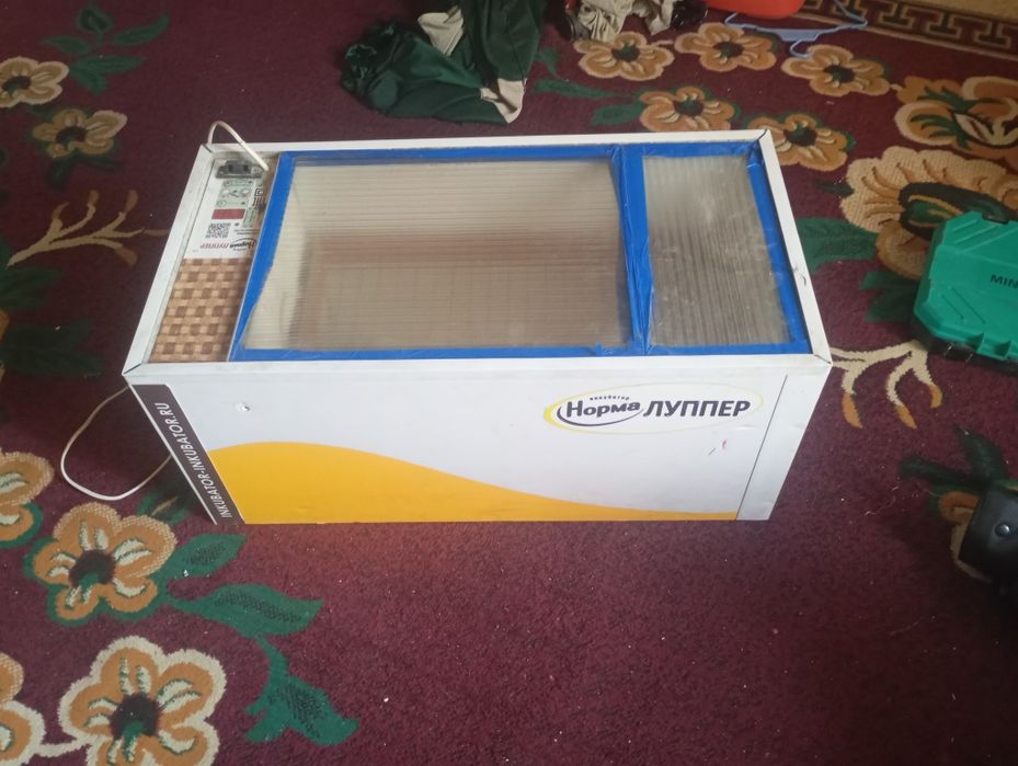 Inkubator norma lupper