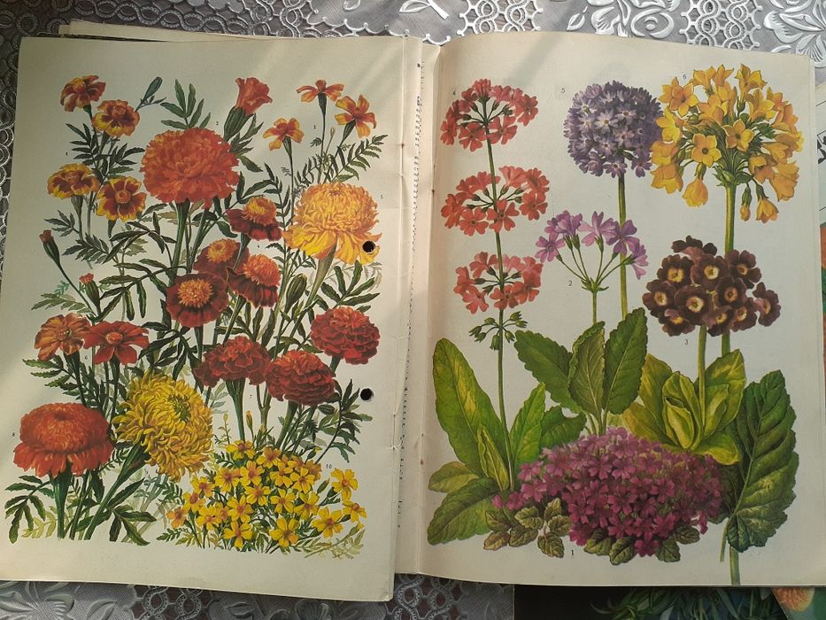 Журнал цветоводство