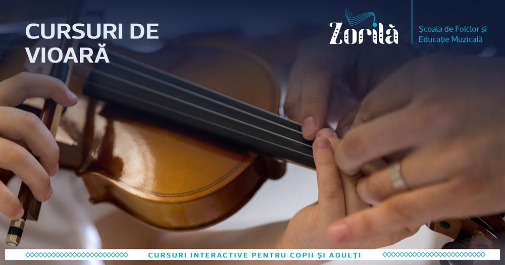 Ofer lecti de vioara copii adulti