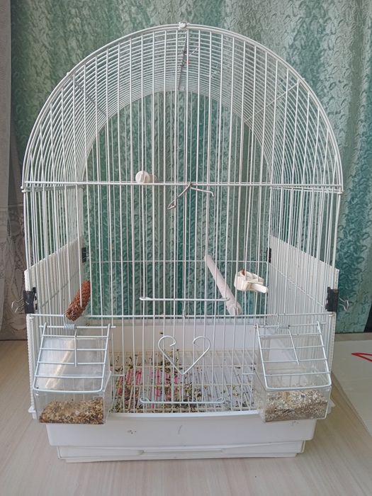 Клетки разные для птиц.