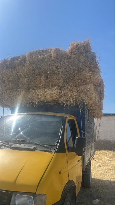 Сабан сатылады 400ден