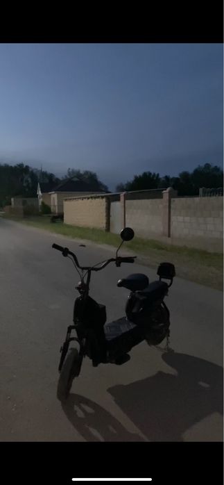 Леопард чёрный стары