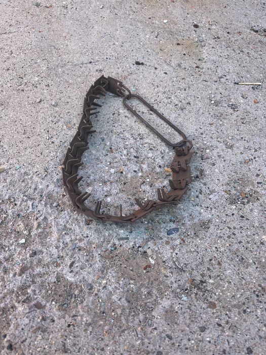 Аксессуары для собак