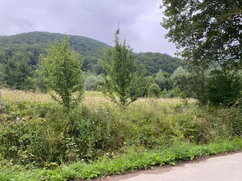 Vand Urgent / Teren Sucevita / ZONA SOARECULUI