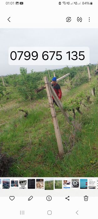 Șpalieri de beton și Șpalieri galvanizați metalici de vânzare