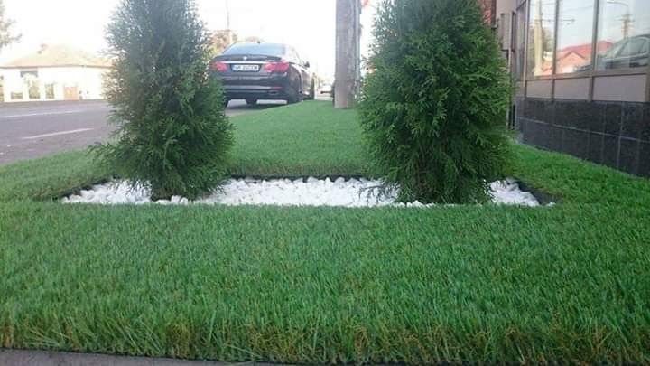 Gazon rulou la cele mai bune preturi