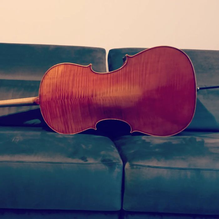 Violoncel maestru Strad copy