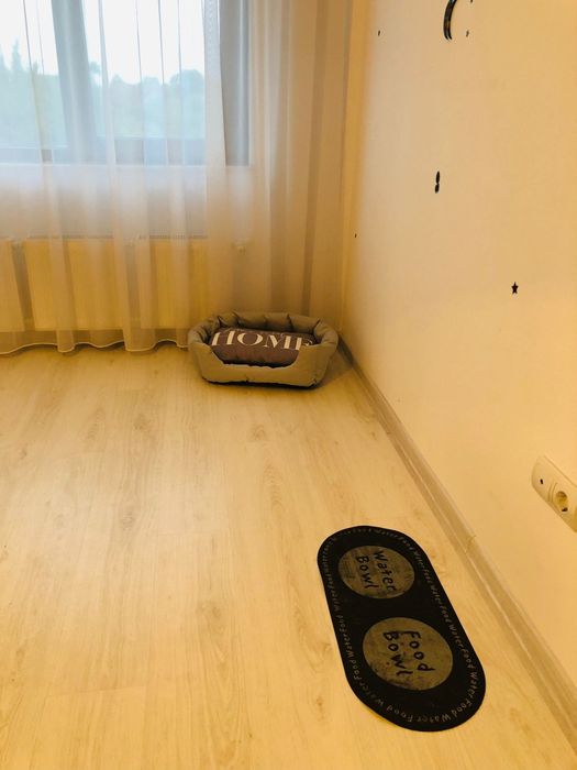 Cazare pentru pisici și alte animaluțe mici