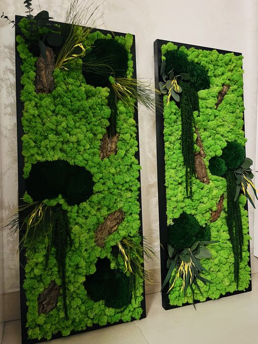Ceasuri/tablouri cu licheni si plante naturale stabilizate