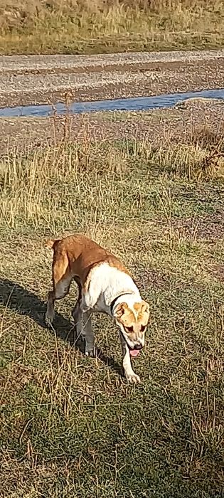 Вязка  вес 55 -57