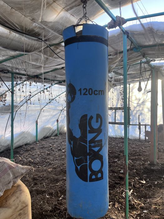 Груша для тренеровок