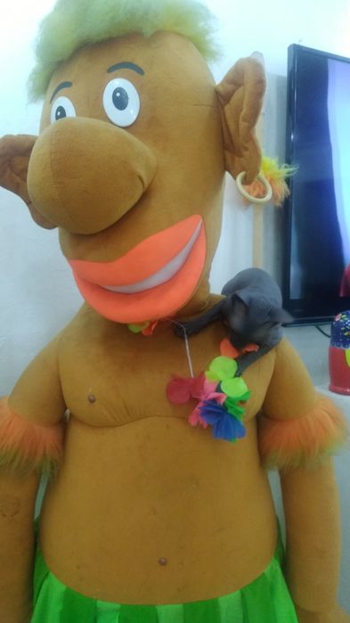 Когтеточка для кошек. Игрушка.