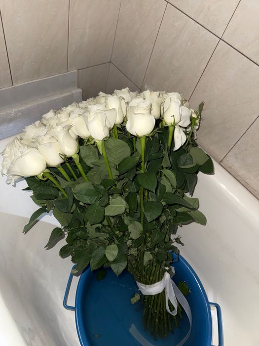 Цветы 101 роза белые