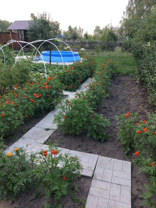 Продам дачу Новопавловка