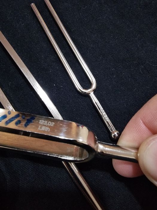 Diapazon profesional