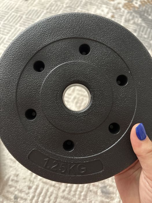 Диски для гантели разборный