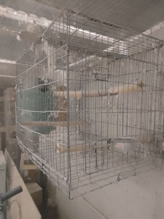 Клетки за средни папагали