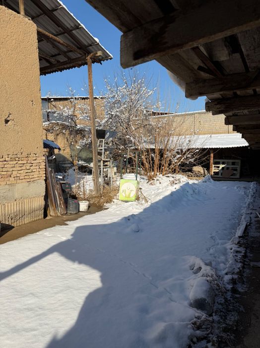 Участок 5,5 соток. Литературный