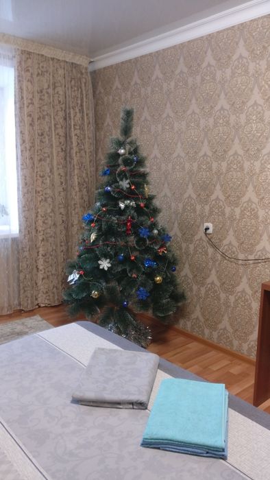 1-ая квартира на 2 часа