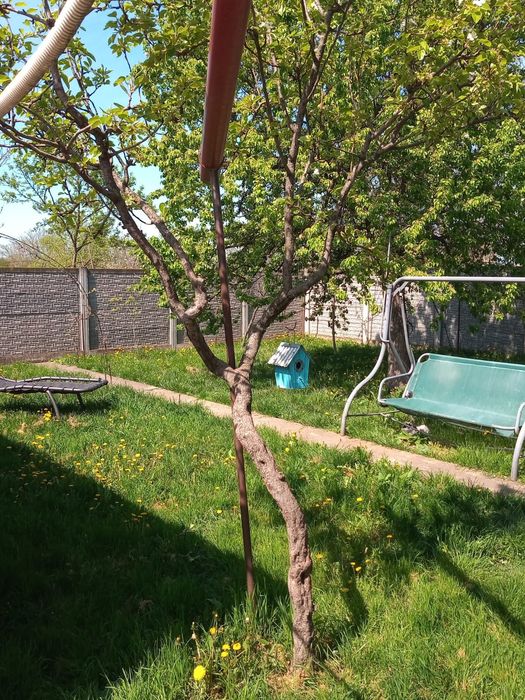 Vând casă 5 camere