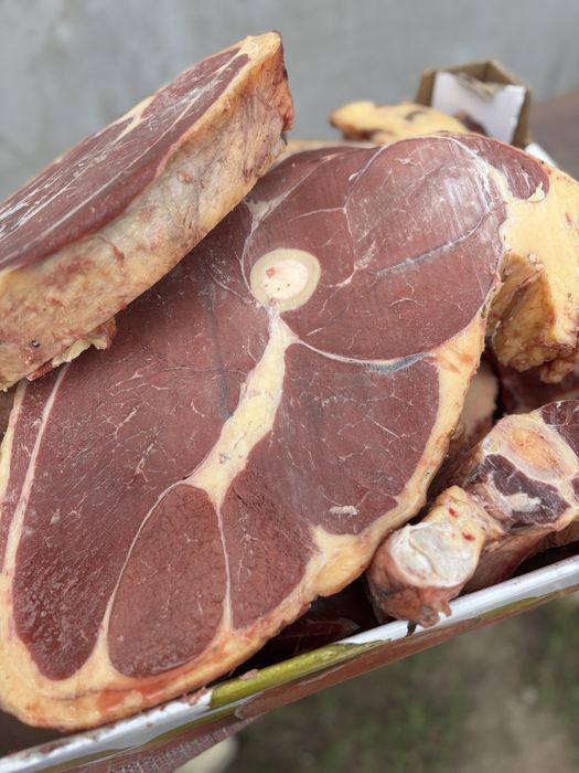 продам говяжий мясо