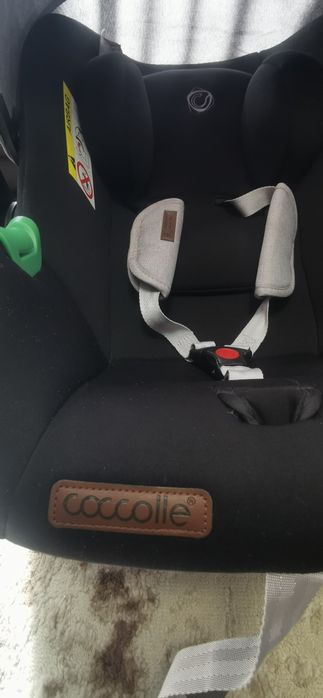 Carucior pentru copii 3 in 1 - Coccolle