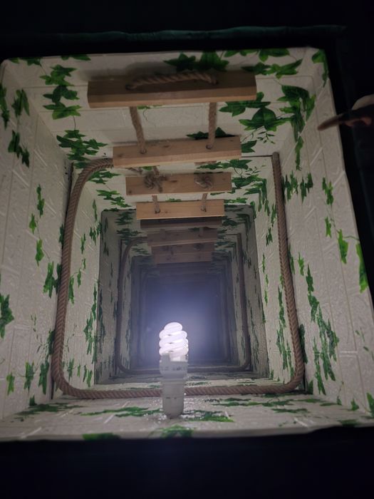 De vanzare masa infinita tapitata