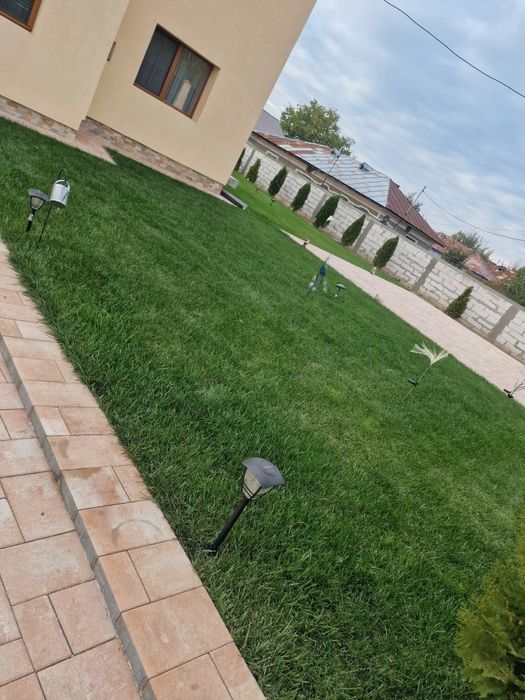 Montaj Gazon Rulouri ,sisteme Irigare