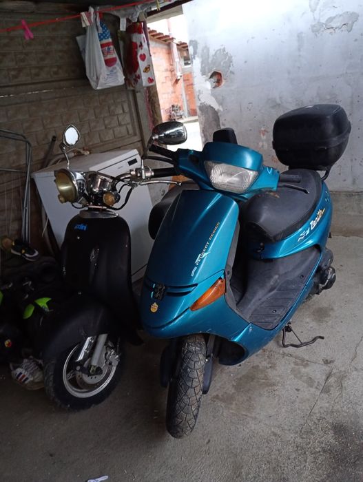 Schimb scuter cu animale