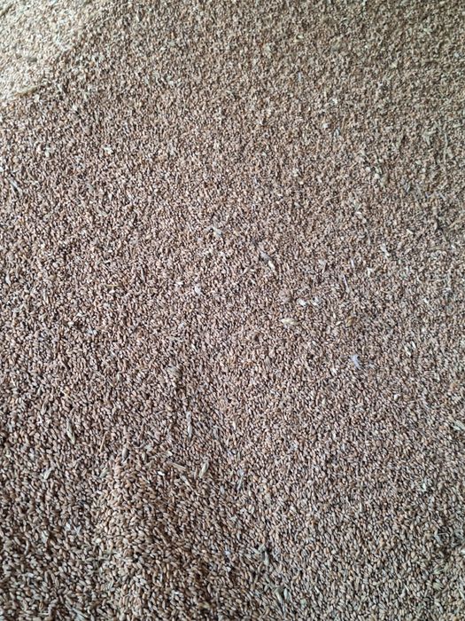 Зерно отходы продам