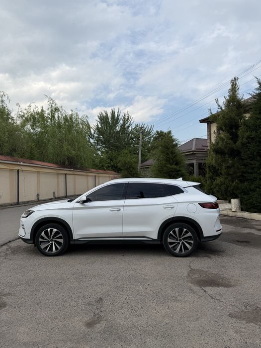 BYD Другая 2024 — 4