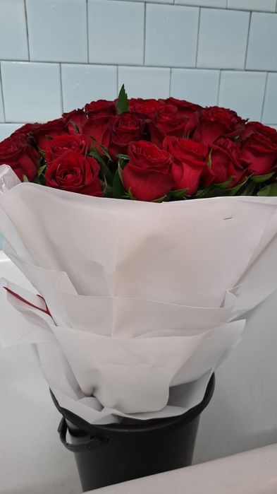 Роза 51 шт свежие