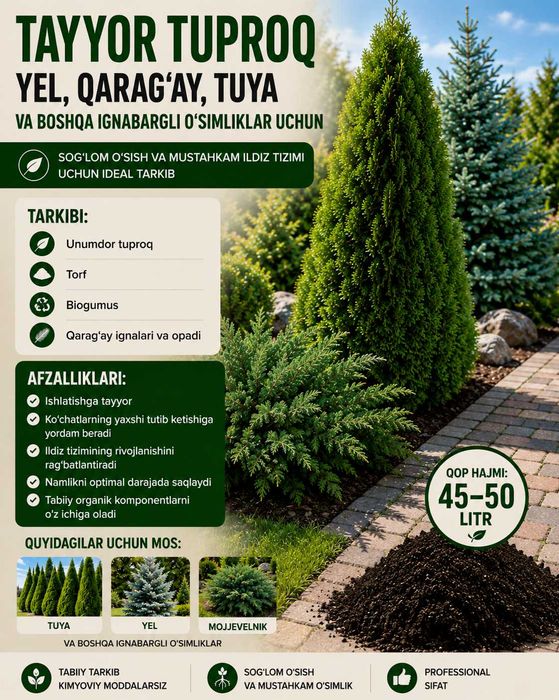 Grunt "ARCHA": qarag‘ay, tuya va boshqa ignabargli o‘simliklar uchun
