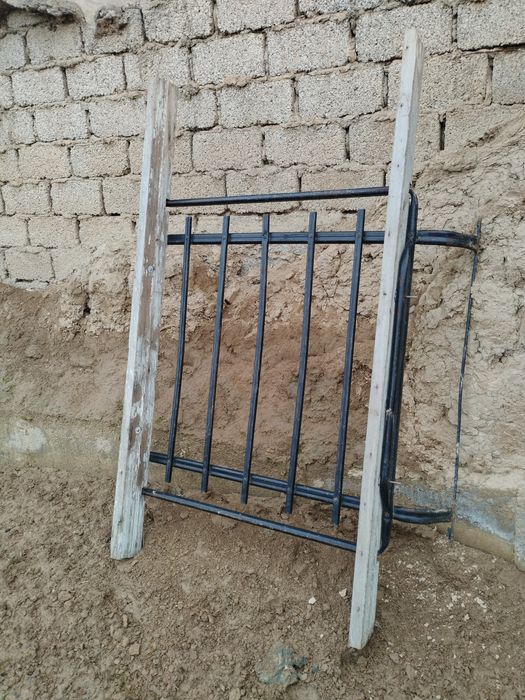 Tom Jguliga Baqvat Yaxwi Xolatda
