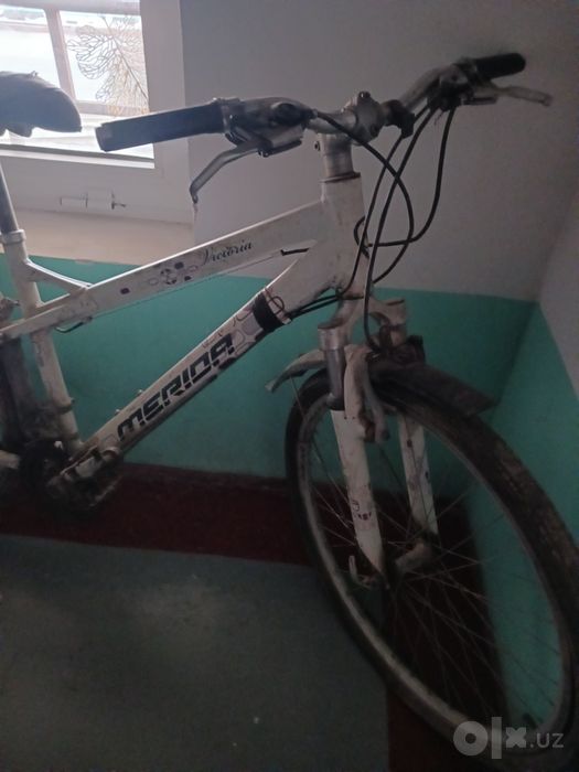 Velik sotiladi judayam sifatli va chidamli velik