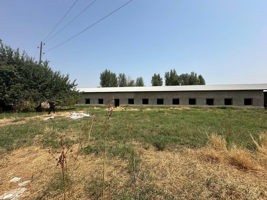 Срочно продается ферма 24 сотки Янгиюль Захарьевский