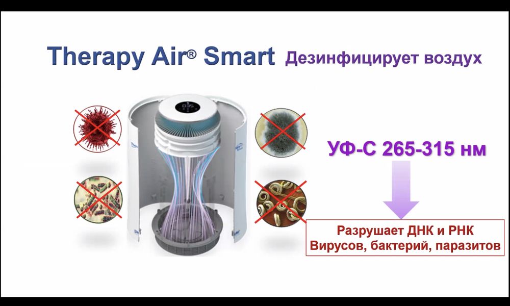 Очиститель воздуха SMART от Zepter