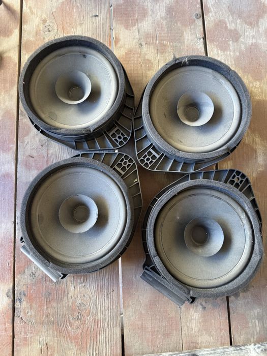 Cobalt kalonka arginal