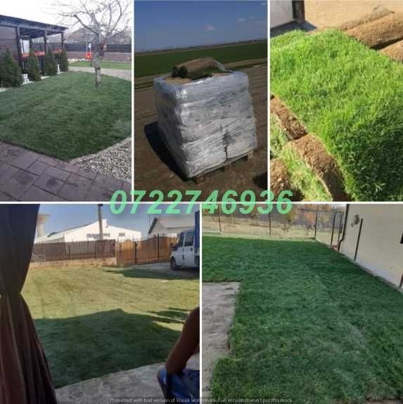 Gazon Natural cu Prindere Rapidă și Aspect Premium