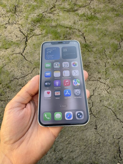 Iphone    12     pro