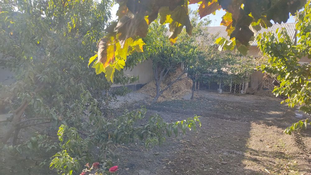 Moxi xosada uchastka sotiladi.