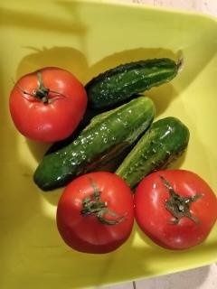 Семена, гиЛечебна КАЛИЗИЯ, Коледниче, КАЛАНХОЕ, Люти чушки дръвче в съ