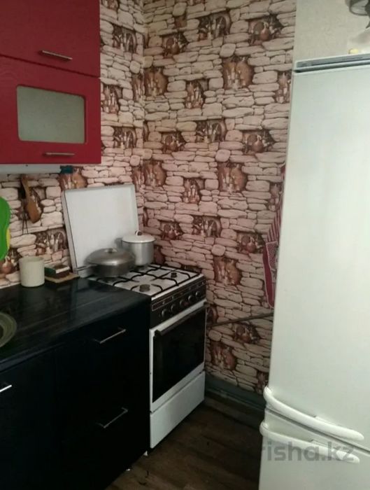 Сдается частный дом, Женис