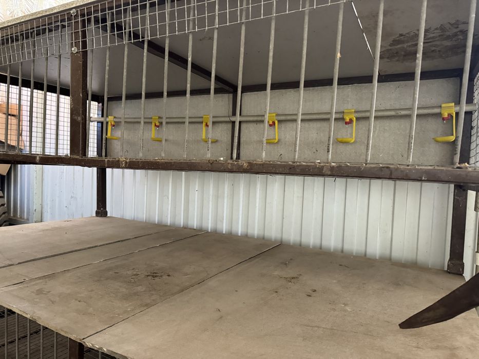 Клетки две штуки для птицы или кроликов